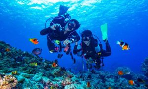 tour lan bien nha trang diving-ava