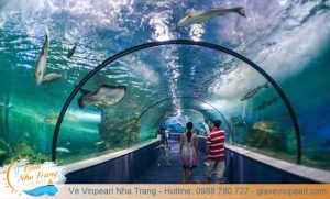 thuy cung vinpearl nha trang