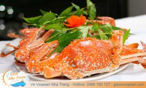 sea-food-nha-trang-hai-san-ghe