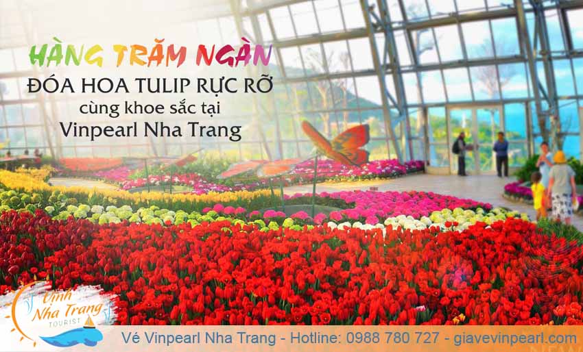 festive wonderland le hoi hoa tulip vinpearl nha trang